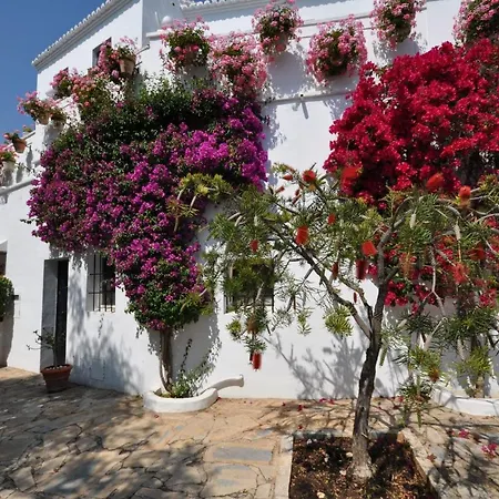 All About Lomas de Marbella Club Pueblo-3